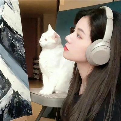 这是他！是的！是的!